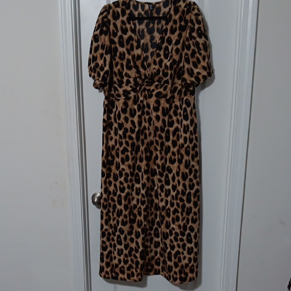 Leopard Print Maxi Dress